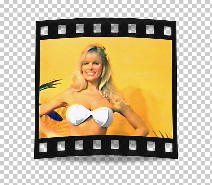 Photographic Film Stock Photography PNG, Clipart, Camera, Cindy Margolis, Display Advertising, Film, Film Frame Free PNG Download