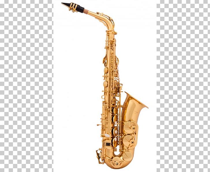Alto Saxophone Musical Instruments E♭ PNG, Clipart, Aas, Alto Saxophone, Arnold, Baritone Saxophone, Brass Instrument Free PNG Download