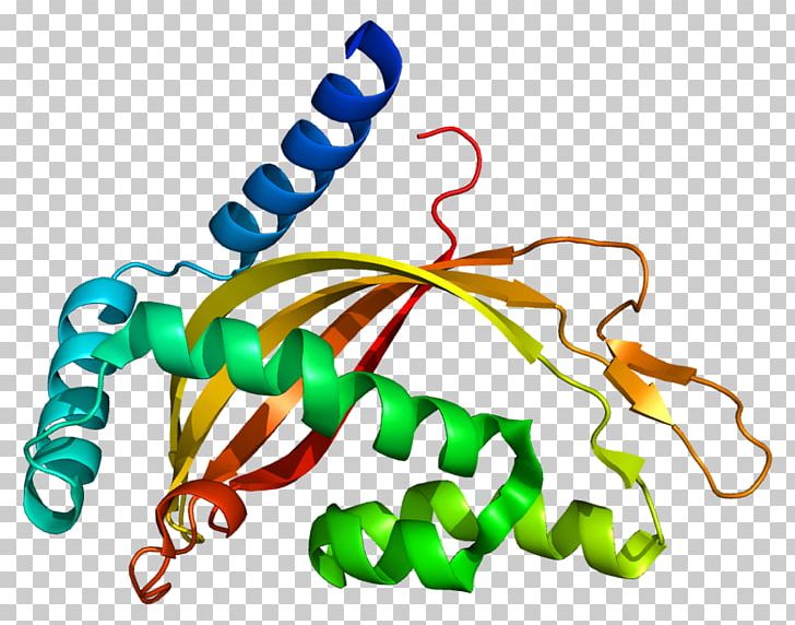 Axon Terminal TIMM44 Translocase Of The Inner Membrane Mitochondrion PNG, Clipart, Animal Figure, Axon, Axon Terminal, Body Jewelry, Cell Membrane Free PNG Download