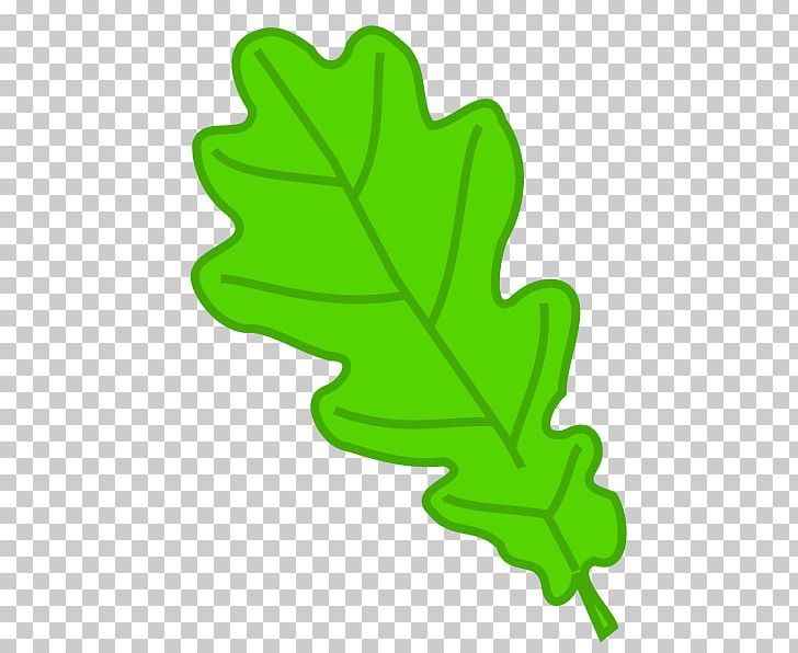 Leaf Oak Drawing Tree PNG, Clipart, Acorn, Bladnerv, Drawing, Figura, Flowering Plant Free PNG Download