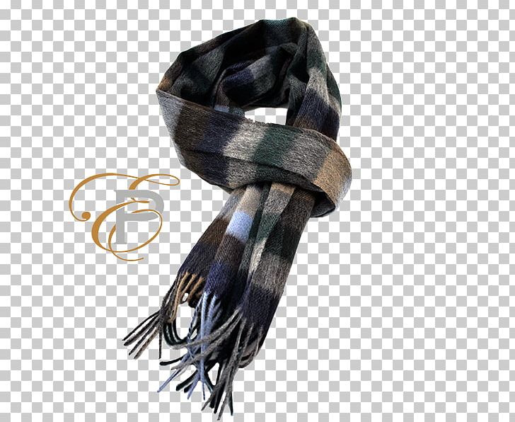 Scarf Stropjedas.nl Wool Sport Coat Beige PNG, Clipart, Beige, Blue, Brown, Cold, Color Free PNG Download