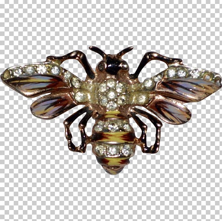 Insect Brooch PNG, Clipart, Animals, Bee, Brass, Brooch, Coro Free PNG Download