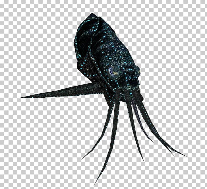 Insect PNG, Clipart, Animals, Cephalopod, Insect, Invertebrate, Organism Free PNG Download