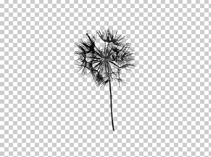 Line White Leaf Flowering Plant Branching PNG, Clipart, Art, Black, Black And White, Black M, Branch Free PNG Download