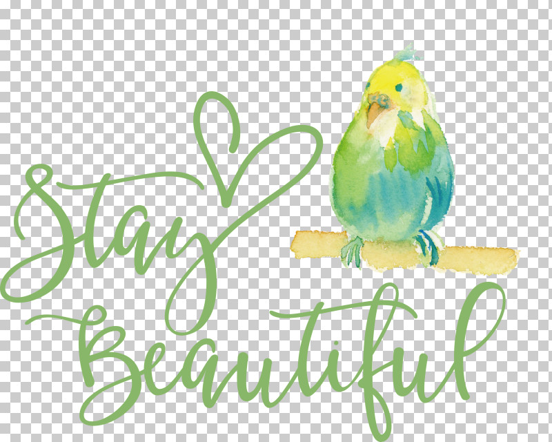 Stay Beautiful Fashion PNG, Clipart, Beak, Familiar, Fashion, Feather, Logo Free PNG Download