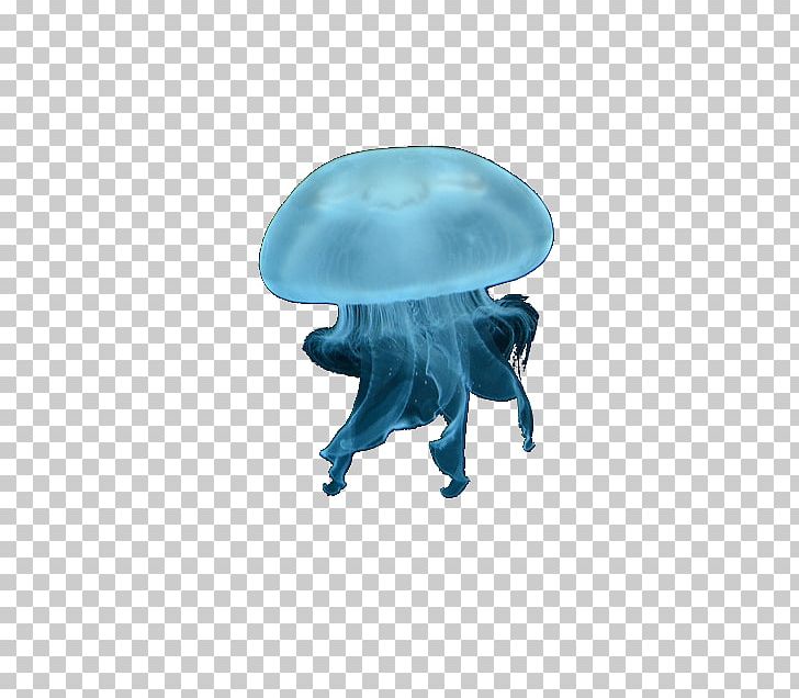 Jellyfish Overfishing Ocean Transparency And Translucency PNG, Clipart, Blog, Digital Media, Ecosystem, Furniture, Hellenic Free PNG Download