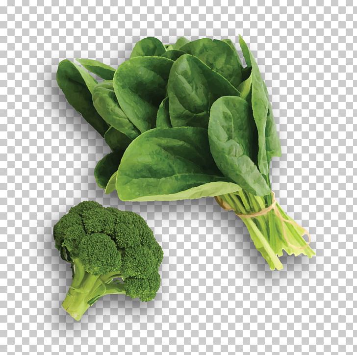 Spinach Collard Greens Cruciferous Vegetables Food Komatsuna PNG, Clipart, Brassica Oleracea, Chard, Choy Sum, Collard Greens, Cosmetics Free PNG Download