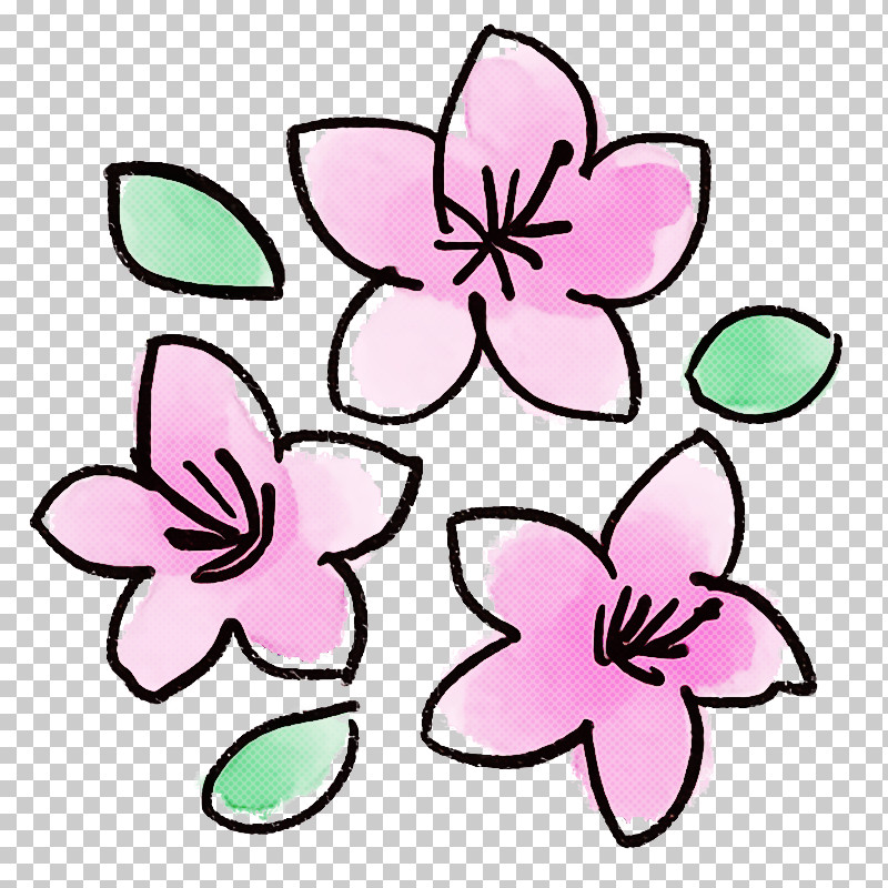 Pink Petal Flower Plant Magenta PNG, Clipart, Flower, Magenta, Pedicel, Petal, Pink Free PNG Download