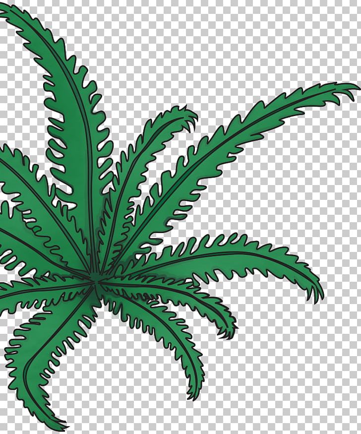 Leaf Plant Stem Hemp Flowerpot Cannabis PNG, Clipart, Cannabis, Family, Flowerpot, Hemp, Hemp Family Free PNG Download