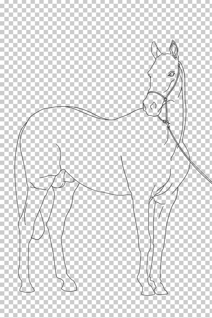 Mule Pony Arabian Horse Mustang Foal PNG, Clipart, Arabian Horse, Arm, Artwork, Base, Black And White Free PNG Download