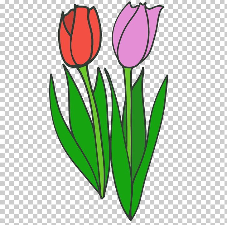 Tulip Cut Flowers Illustration Plant Stem PNG, Clipart, Cut Flowers, Flower, Flowering Plant, Leaf, Lily Family Free PNG Download