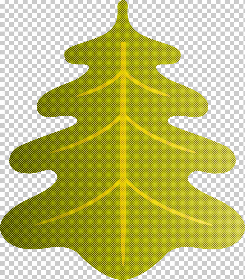 Oak Leaf PNG, Clipart, Biology, Christmas Day, Christmas Ornament, Christmas Tree, Conifers Free PNG Download