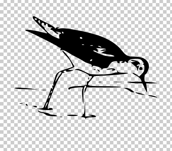 Black And White Drawing Art PNG, Clipart, Art, Artwork, Beak, Bird, Black Free PNG Download