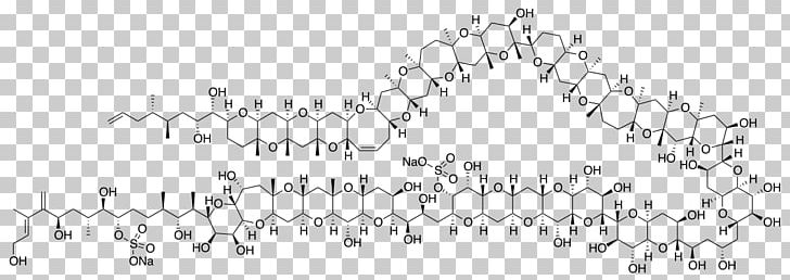 Maitotoxin Organic Chemistry Molecule Chemical Compound PNG, Clipart, Angle, Area, Atom, Auto Part, Black Free PNG Download
