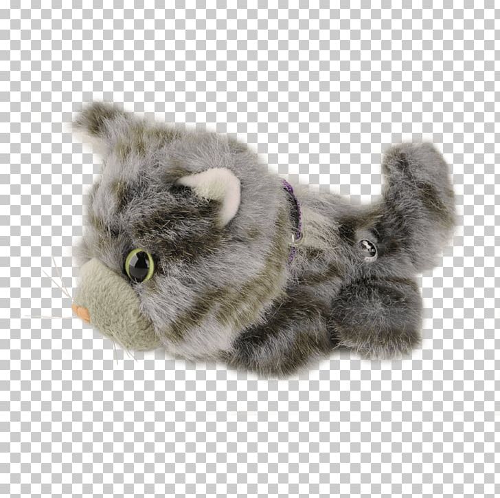 Whiskers Kitten Domestic Short-haired Cat Norwegian Forest Cat Newspaper PNG, Clipart, Animals, August 28, Carnivoran, Cat, Cat Like Mammal Free PNG Download