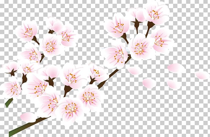 Cherry Blossom Petal PNG, Clipart, Adobe Illustrator, Blossom, Branch, Cherry, Cherry Blossom Free PNG Download