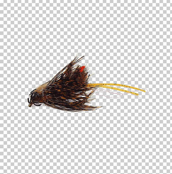 Holly Flies Blue Crayfish Louisiana Crawfish Artificial Fly PNG, Clipart, Artificial Fly, Beak, Blue Crayfish, Bread, Brown Sugar Free PNG Download