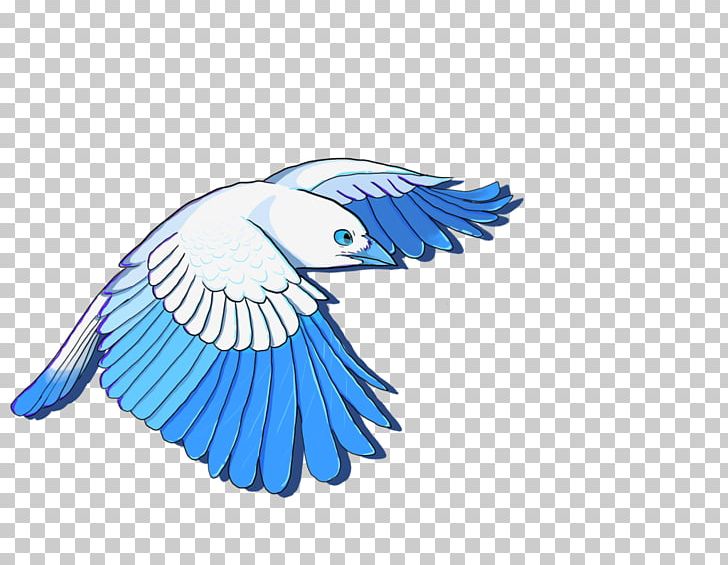 Macaw Bird Parakeet Beak Feather PNG, Clipart, Animals, Beak, Bird, Bird Of Prey, Common Pet Parakeet Free PNG Download