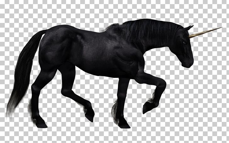 The Black Unicorn Horse Pegasus PNG, Clipart, Black, Black And White, Bridle, Colt, Desktop Wallpaper Free PNG Download