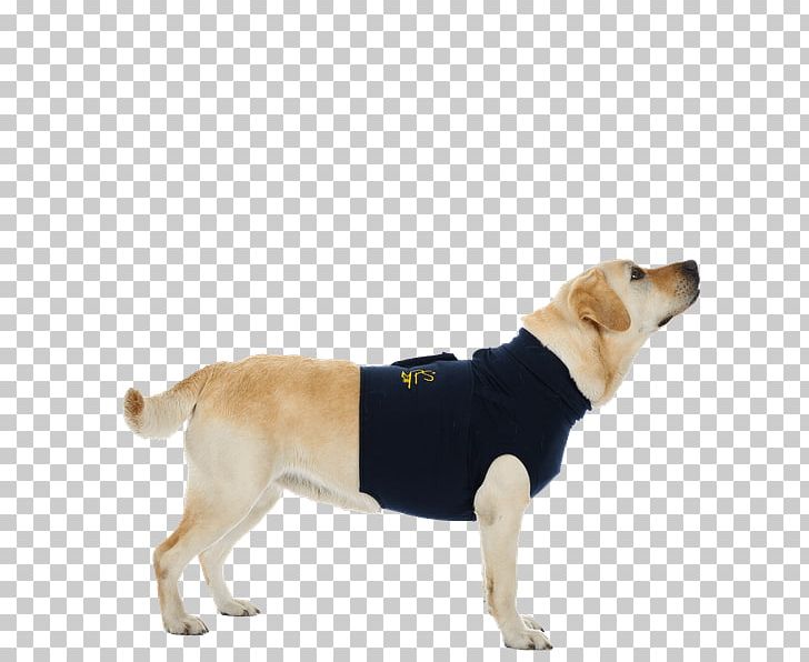 Labrador Retriever Dog Breed MPS-TOP Shirt PNG, Clipart, Clothing, Companion Dog, Dog, Dog Breed, Dog Breed Group Free PNG Download