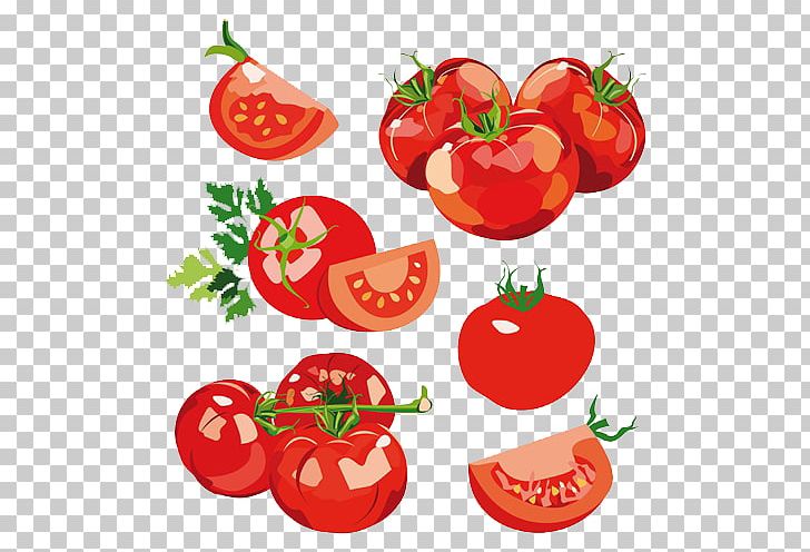 Vegetable Salad Tomato PNG, Clipart, Bell Peppers And Chili Peppers, Capsicum, Food, Fruit, Heart Free PNG Download