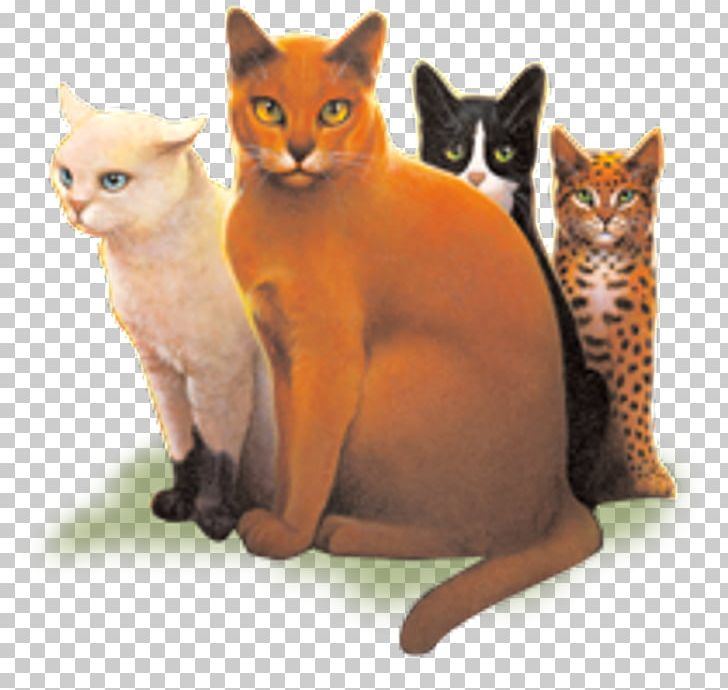 Code Of The Clans Cats Of The Clans Warriors Erin Hunter PNG, Clipart,  Free PNG Download