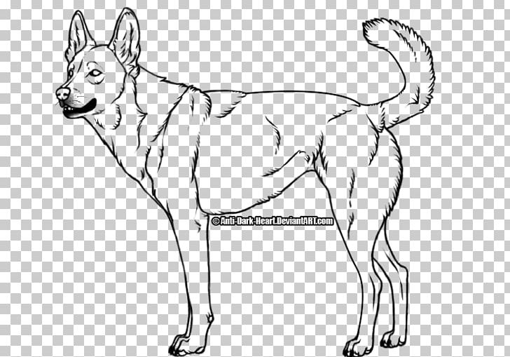 Dingo Golden Retriever Puppy Drawing Coyote PNG, Clipart, Animal, Animals, Artwork, Black And White, Carnivoran Free PNG Download