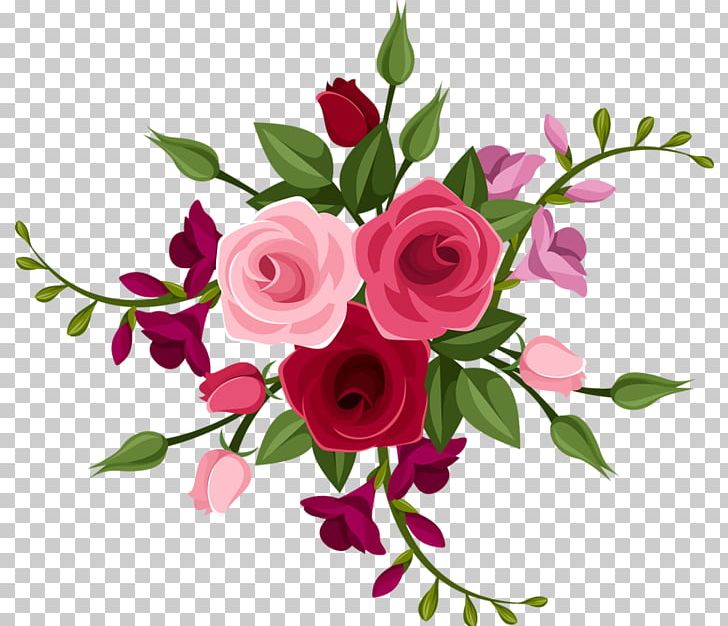 Garden Roses Floral Design Centifolia Roses PNG, Clipart, Centifolia Roses, Collection, Cut Flowers, Drawing, Floral Design Free PNG Download