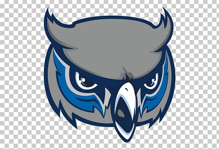 Olathe West High School Kennesaw State Owls Football College Boulevard Activity Center PNG, Clipart, Automotive Design, Coach, Fictional Character, Fish, Football Free PNG Download