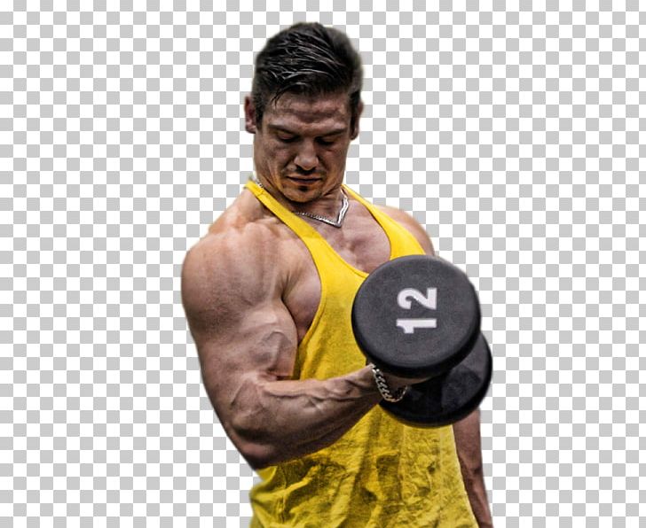 Physical Fitness Bodybuilding Personal Trainer Fitness Professional Fitness Centre PNG, Clipart, Abdomen, Arm, Biceps Curl, Bodybuilder, Bodybuilding Free PNG Download