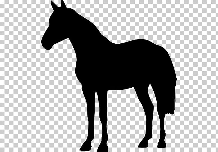 Arabian Horse American Quarter Horse Black Forest Horse Friesian Horse American Paint Horse PNG, Clipart, American Quarter Horse, Animals, Arabian Horse, Black, Black And White Free PNG Download