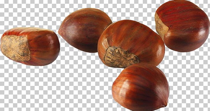 Chestnut Hazelnut Nuts Auglis Autumn PNG, Clipart, Acorn, Auglis, Autumn, Berry, Chestnut Free PNG Download