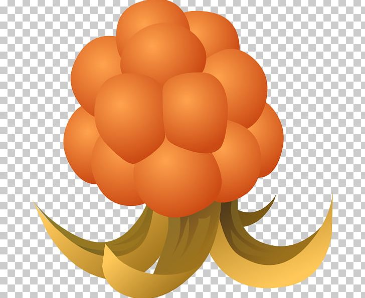 Cloudberry Drawing PNG, Clipart, Berry, Circle, Cloudberry, Download, Drawing Free PNG Download