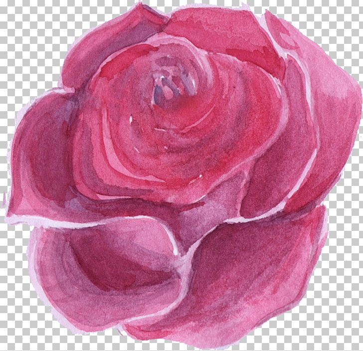 Flower Rose Watercolor Painting PNG, Clipart, Computer Icons, Cut Flowers, Flower, Free, Garden Roses Free PNG Download