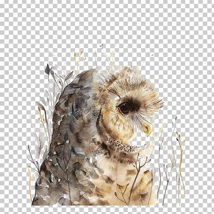 Owl Watercolor Painting Art PNG, Clipart, Animals, Art, Bird, Bird Of Prey, Birds Free PNG Download