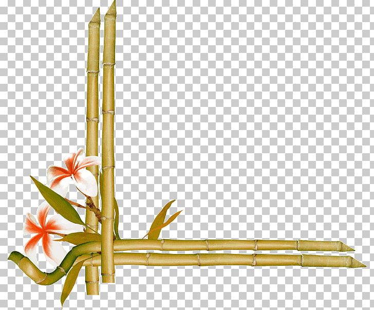 Paper Bamboo Bamboe PNG, Clipart, Angle, Bamboe, Bamboo, Border, Border Frame Free PNG Download