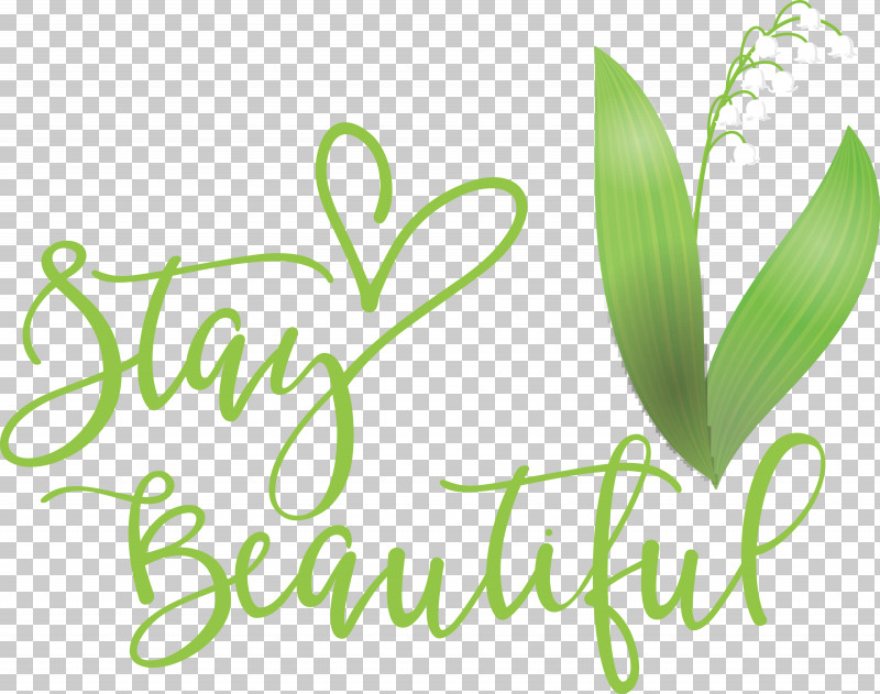 Stay Beautiful Fashion PNG, Clipart, Biology, Fashion, Grasses, Green, Leaf Free PNG Download