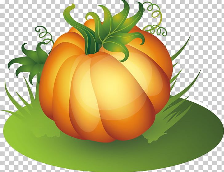 Pumpkin Thanksgiving PNG, Clipart, Cartoon, Creative Ads, Creative Artwork, Creative Background, Creative Logo Design Free PNG Download