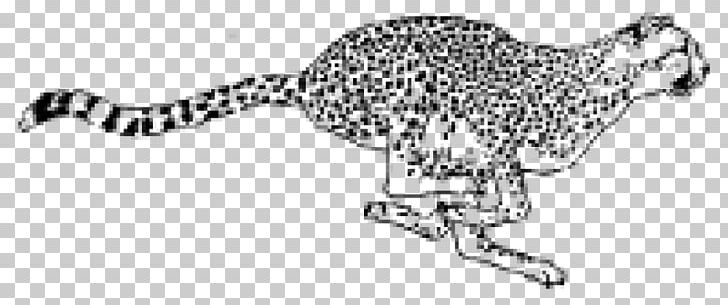 Big Cat Cheetah Mammal Animal PNG, Clipart, Animal, Animal Figure, Animals, Beak, Big Cat Free PNG Download
