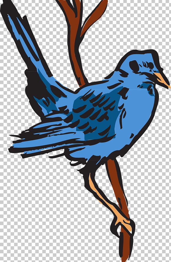 Bird Feather Beak Wing PNG, Clipart, Animal, Animals, Art, Artwork, Beak Free PNG Download