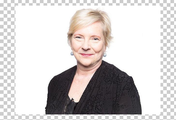 Flensburg Municipal Election In Schleswig-Holstein 2018 Dr.med. Kieback Christina C. CDU Schleswig-Holstein CDU-Kreisverband Schleswig-Flen. PNG, Clipart, Cdukreisverband Schleswigflen, Cdu Schleswigholstein, Chin, Germany, Iris Free PNG Download