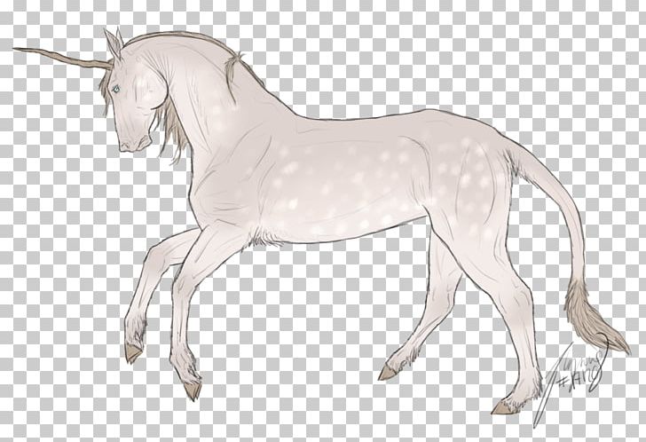 Mane Mustang Foal Donkey Pony PNG, Clipart, Donkey, Fauna, Fictional Character, Foal, Goat Free PNG Download