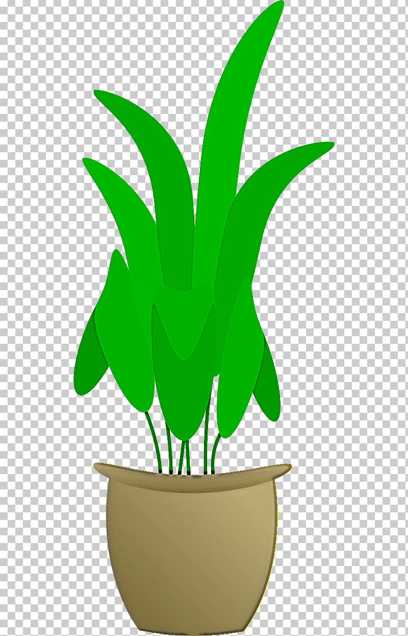 Green Leaf Plant Houseplant Flowerpot PNG, Clipart, Flower, Flowerpot, Green, Herbaceous Plant, Houseplant Free PNG Download