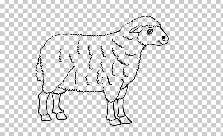 Sheep Cattle Goat Line Art Drawing PNG, Clipart, Animals, Area, Artwork, Black And White, Breed Free PNG Download