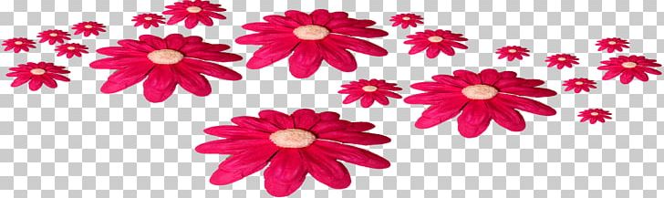 Flower Fuchsia PNG, Clipart, Chrysanthemum, Chrysanths, Cut Flowers, Dahlia, Daisy Free PNG Download