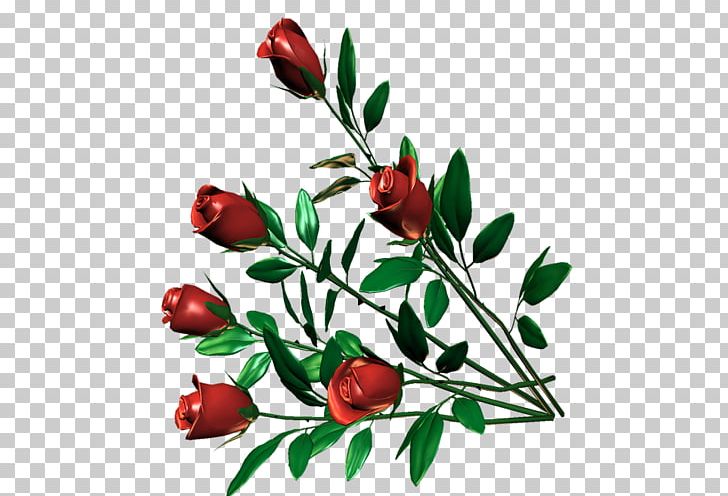 Garden Roses Flower Floral Design Petal PNG, Clipart, Blume, Branch, Bud, Cut Flowers, Floral Design Free PNG Download