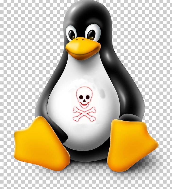 Linux Portable Network Graphics Tux Unix PNG, Clipart, Android, Arch Linux, Beak, Bird, Debian Gnulinux Free PNG Download