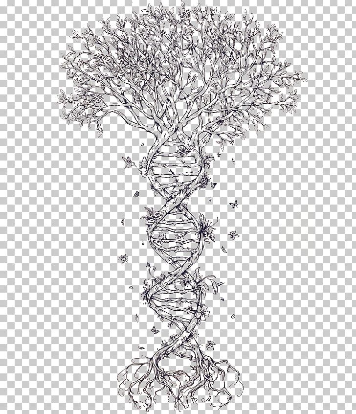 Family Tree DNA Tattoo Family Tree DNA Nucleic Acid Double Helix PNG, Clipart, Adna, Area, Artwork, Biology, Black And White Free PNG Download
