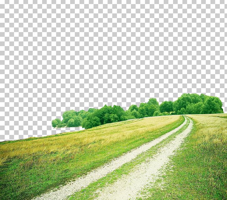Green Grass Road PNG, Clipart, Background, Blue, Composition, Computer Wallpaper, Creative Green Free PNG Download