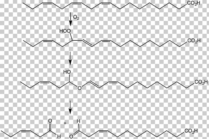 Organic Peroxide Hydrogen Peroxide Organic Compound Linoleic Acid PNG, Clipart, Acid, Alphalinolenic Acid, Angle, Area, Auto Part Free PNG Download